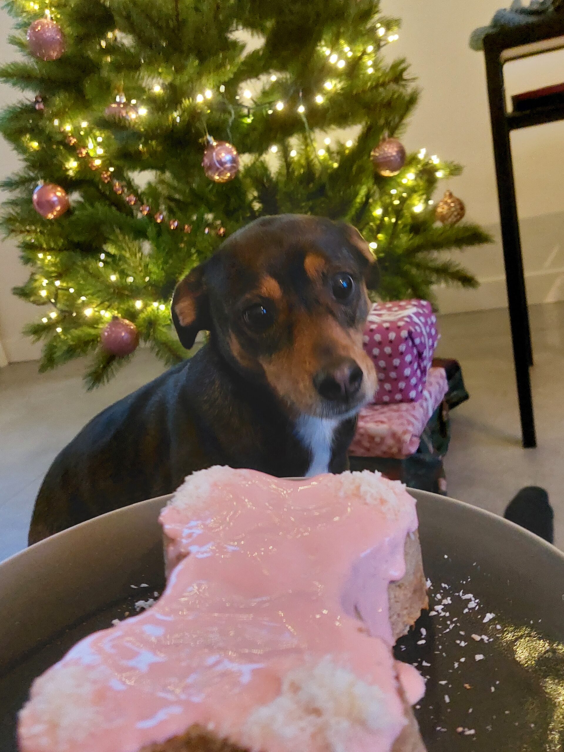 Kerstmis, tijd voor eten op aarde.